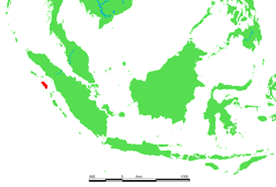 SELANCAR DI PANTAI LAGUNDRI DAN SORAKENIAS