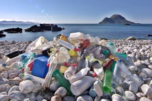 Aturan baru: Kumpulkan 3 objek plastik saat Anda keluar dari pantai!