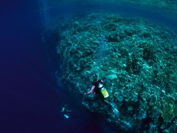 18 FOTO KETIKA 'NATIONAL GEOGRAPHIC' BERTEMU INDONESIA 18 FOTO KETIKA 'NATIONAL GEOGRAPHIC' BERTEMU INDONESIA