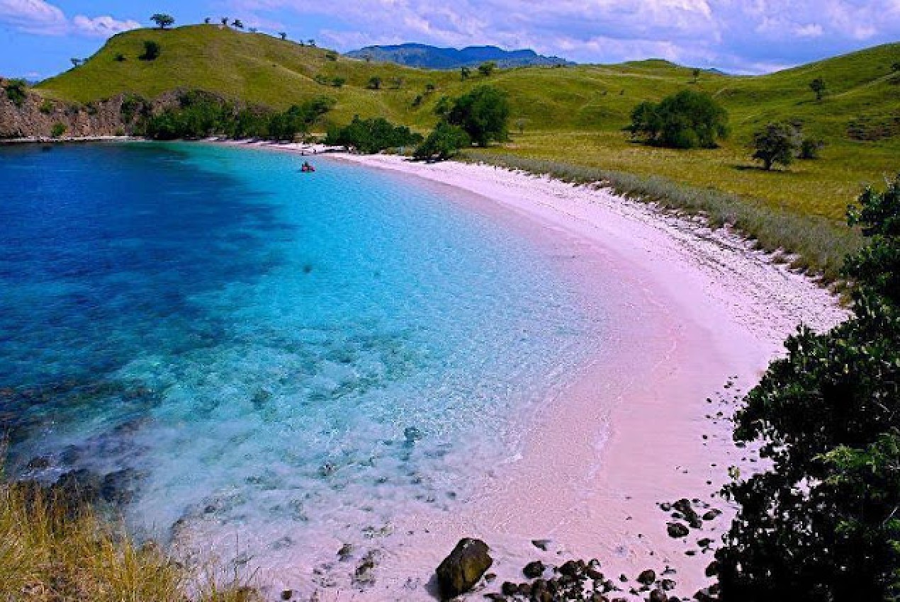 KEUNIKAN INDONESIA PANTAI PINK DI LOMBOK TIMUR