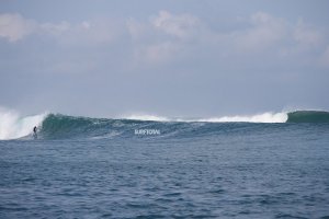 SERANGAN HIU DI SALAH SATU SPOT PULAU JAWA