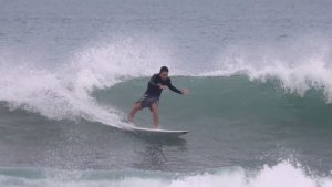 Menyelami Gelombang Sukses: Kisah Camden dan Pengaruh Surfing Didalamnya