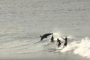 HARI FANTASTIS SURFING BERSAMA PARA LUMBA-LUMBA