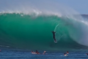 AWAL TAHUN KELLY SLATER DI HONOLUA - HAWAII