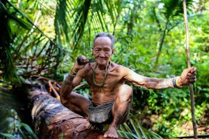 BANTU TANDATANGANI PETISI INI UNTUK MELINDUNGI HUTAN SIBERUT