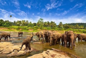 BEBERAPA TEMPAT DI BANDAR LAMPUNG YANG HARUS KALIAN DATANGI