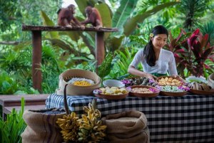 RASAKAN SENSASI SARAPAN BERSAMA ORANGUTAN DI KEBUN BINATANG BALI