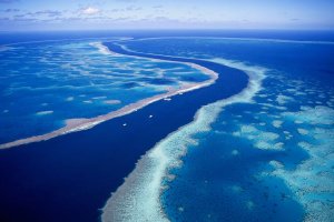 LINDUNGI LAUT KITA SEKARANG JUGA!