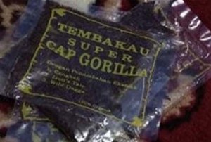 TEMBAKAU SUPER CAP GORILLA APAKAH BERBAHAYA?