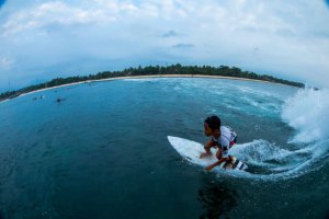 PROFIL OF THE WEEK - Cikal Richi Adiyasa Nur - Krui - Sumatra