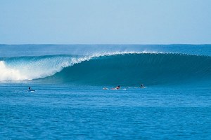 PEMUNGUTAN PAJAK SURFING BERJALAN LANCAR DI MENTAWAI