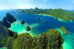 DIPERLUKAN DUKUNGAN BANYAK PIHAK UNTUK ATASI RUSAKNYA TERUMBU KARANG RAJA AMPAT