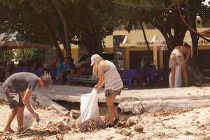 BEBERAPA BULE MEMULAI KEGIATAN BEACH CLEAN UP DI KRUI