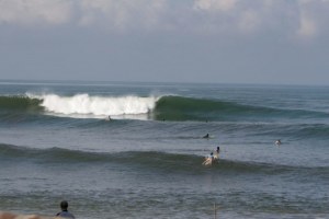 SERANGAN HIU TERJADI DI BALIAN