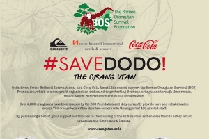 Konservasi Orangutan Indonesia melalui Kampanye #SAVEDODO
