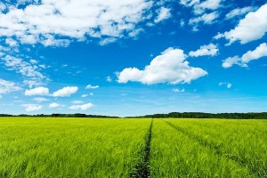 TAHUKAH KAMU MENGAPA LANGIT BERWARNA BIRU?