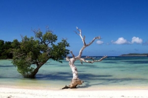 Pantai-pantai tersembunyi di Indonesia