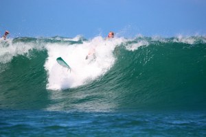 HADAPI KETAKUTAN KETIKA SURFING