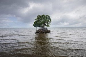 DUA PULAU DI INDONESIA TENGGELAM KARENA NAIKNYA PERMUKAAN LAUT