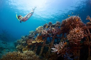 BEBERAPA SPOT DI BALI INI MEMILIKI KEINDAHAN BAWAH LAUT YANG SPEKTAKULER