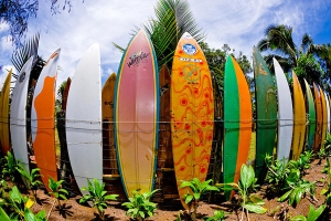 Mengenal Surfboard