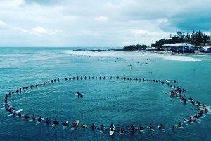 TRIBUT UNTUK PIERRE Agnès DI Snapper Rocks