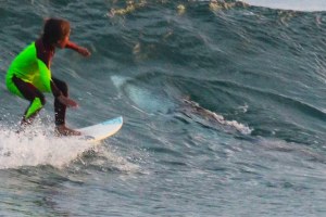 BOCAH UMUR 10 TAHUN SURFING DIATAS HIU PUTIH BESAR, SANG AYAH TAK SENGAJA MENGABADIKANNYA