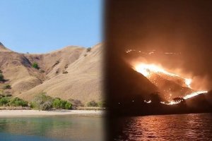 KEBAKARAN TERJADI DI PADANG RUMPUT GILILAWA NUSA TENGGARA TIMUR