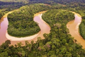 KEBAKARAN HEBAT DI AMAZON SALAH SATU PARU PARU DUNIA