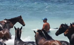 KELLY SLATER SAAT INI BERJALAN DARI BALI KE PULAU SUMBA