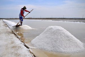 KITA SEMUA TERANCAM MENGKONSUMSI MIKROPLASTIK LEWAT GARAM SETIAP HARINYA