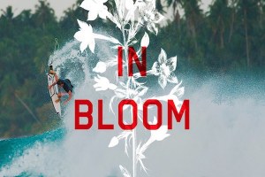IN BLOOM : LEO FIORAVANTI