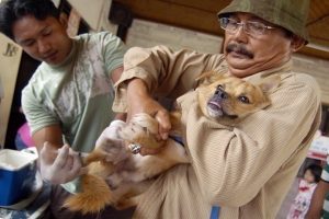 BALI : ANTI RABIES