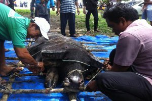 KENDURI LAUT - SEBUAH RITUAL YANG SUDAH DILAKUKAN SEJAK ABAD KE-17