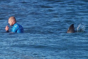 Mick Fanning Berpartisipasi membuat film Dokumenter tentang Hiu Bersama National Geographic