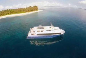 Video kepulauan Mentawai dari sisi atas