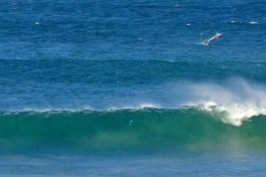 LAGI LAGI HIU MENGHANTUI DI KOMPETISI J-BAY OPEN