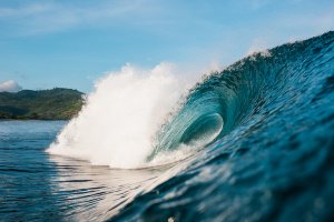 &quot;GREEN MONKEY&quot; MASON HO &quot;SUPER HERO&quot;