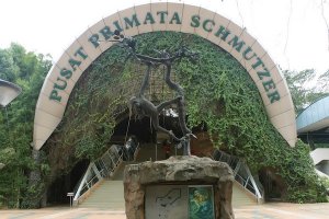 KUNJUNGI PUSAT PRIMATA SCHMUTZER, HABITAT PRIMATA TERBESAR DI DUNIA