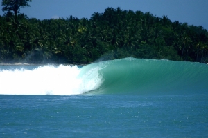 RENCANA PAJAK MENTAWAI