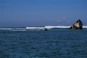 Shipwrecks di lembongan