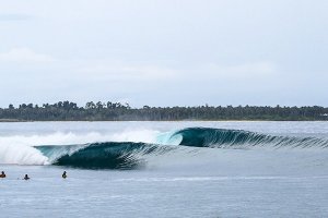 PEMBANGUNAN MEGA PROYEK MENTAWAI BAY AKAN HAPUS KEASRIAN MENTAWAI YANG SESUNGGUHNYA