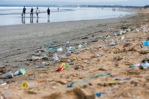 Waste OF Focus : PLASTIC FREE ULUWATU