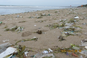 BEACH CLEAN UP DI KUTA, BALI