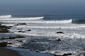 Punta de Lobos