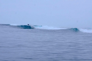 MENGINTIP KEINDAHAN PULAU AWERA