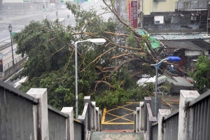 TOPAN MELANDA TAIWAN, BEBERAPA JIWA MELAYANG