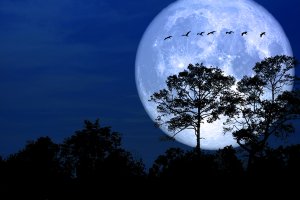 JANGAN LEWATKAN PEMANDANGAN SUPERMOON TERBESAR DI TAHUN INI, 19 FEBRUARI