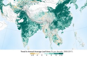 CHINA DAN INDIA BERUBAH MENJADI NEGARA YANG HIJAU