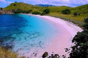 KEUNIKAN INDONESIA : PANTAI PINK DI LOMBOK TIMUR